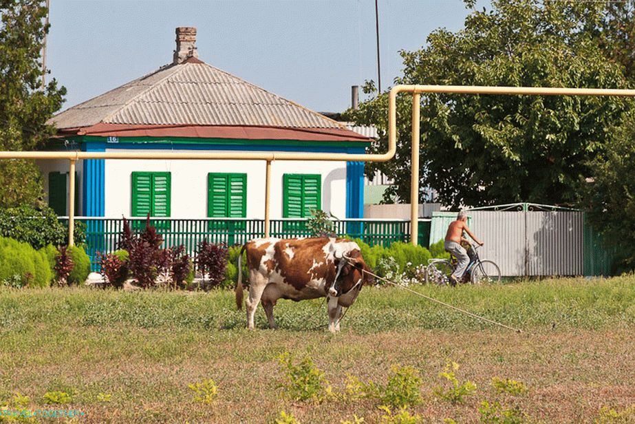 Barva podeželja