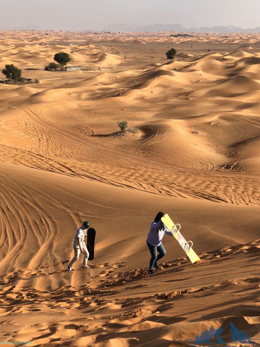 Safari v Dubaju