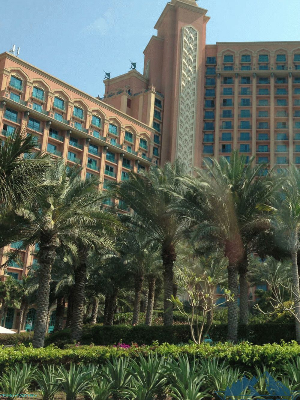 Atlantis Palm
