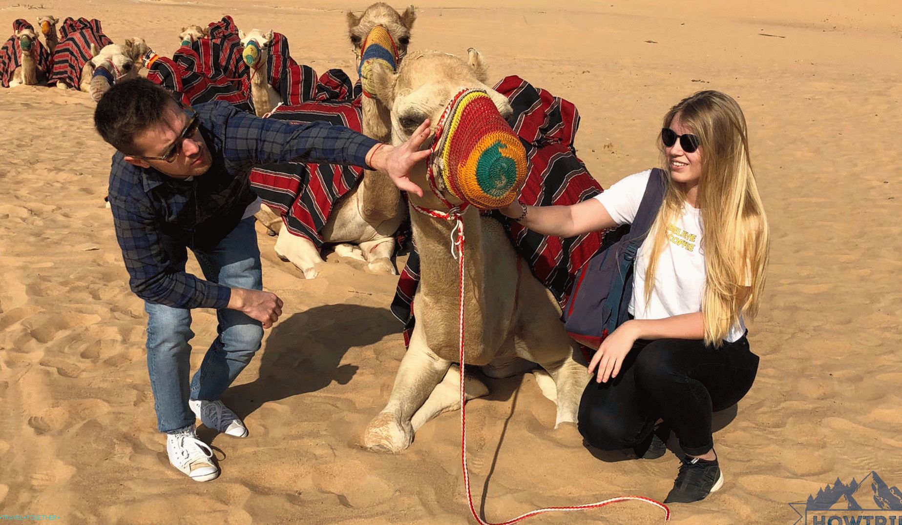 Safari v Dubaju