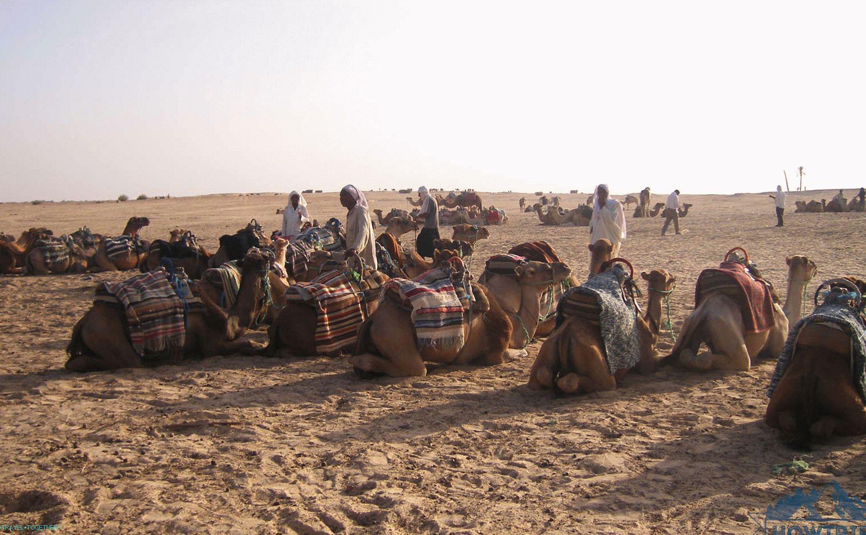 Tunizijski Camel Tour