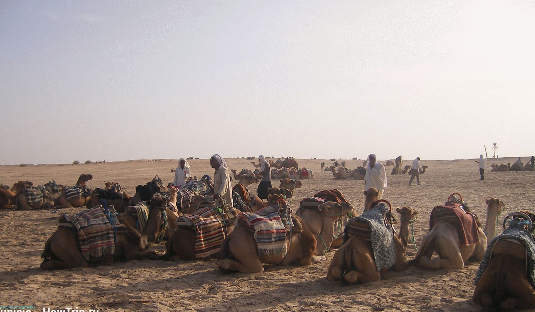 Camel Riding v Tuniziji