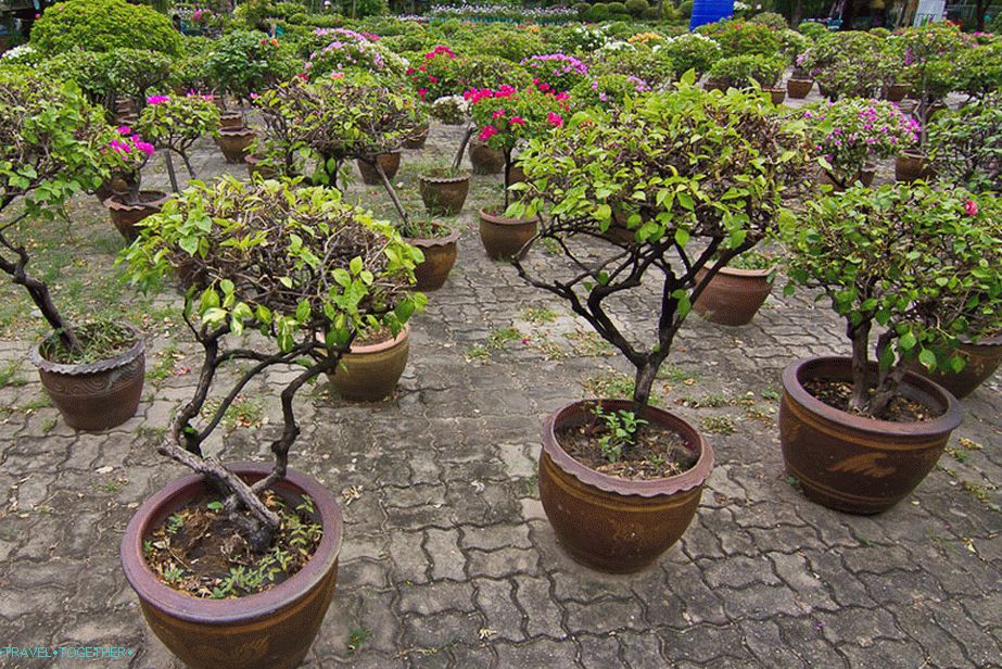 Park Lumpini