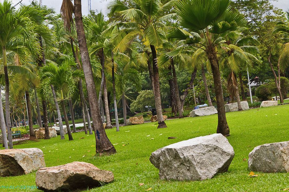 Okoli lepote in nege