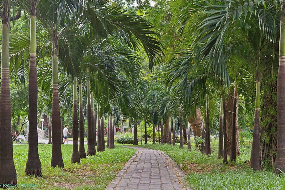 Palm Alley v parku Lumpini