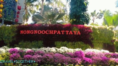 Nong Nooch Park v Pattayi