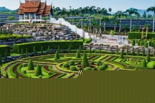 Nong Nooch Park v Pattayi