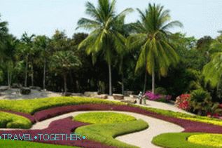 Nong Nooch Park v Pattayi