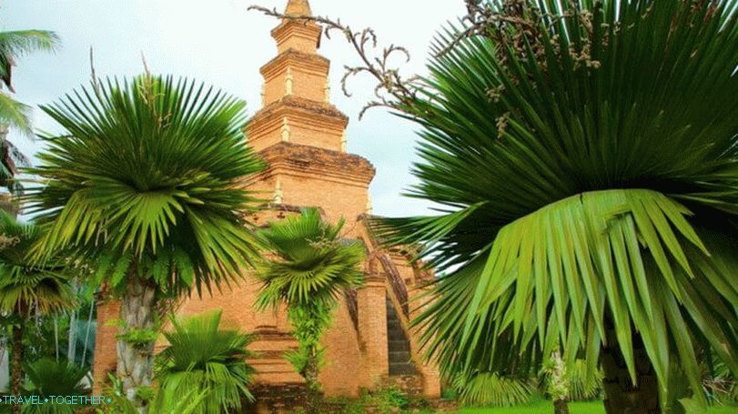 Vrt palme in praproti v parku Nong Nooch