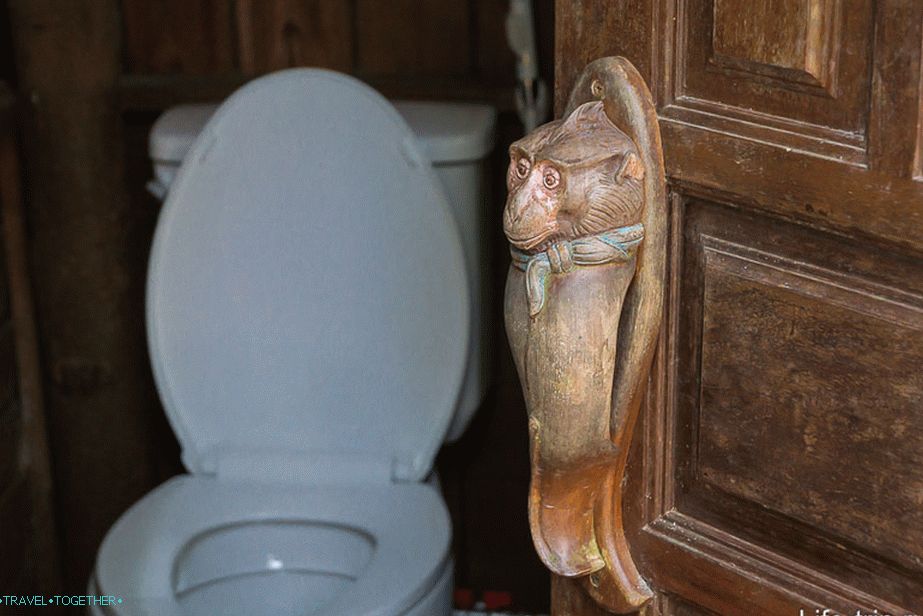 Zelo doorknob kot, nenavadno