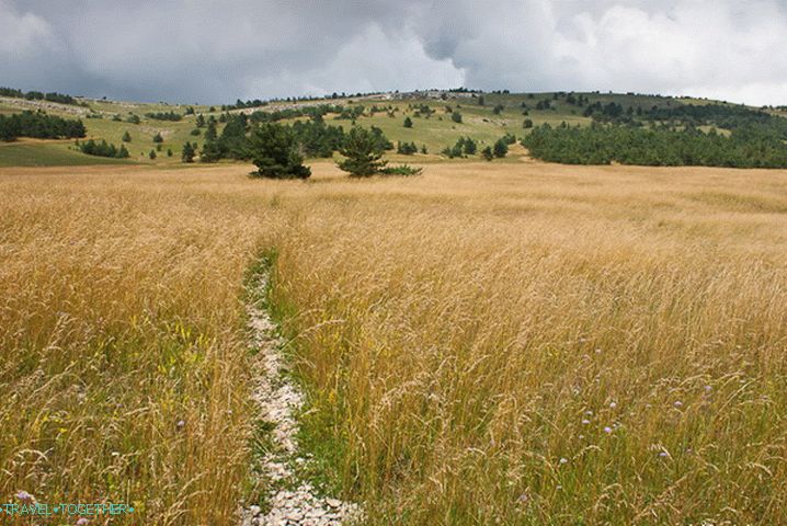 Yalta Yayla. Višina 1250 m.