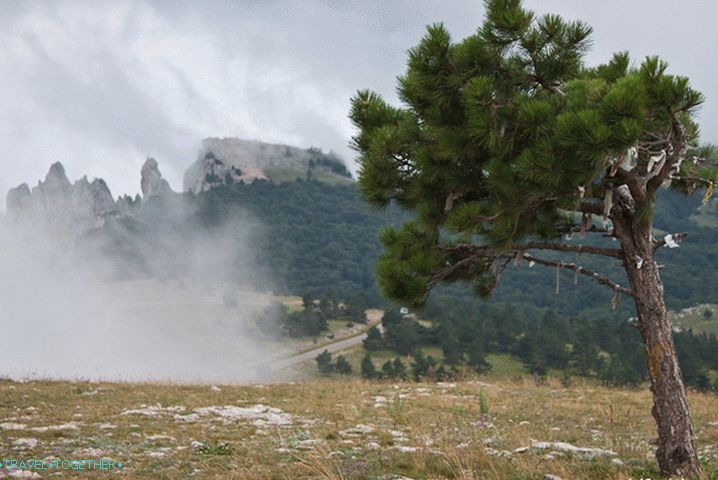 Ay-Petrinskaya Yayla. V oblakih.