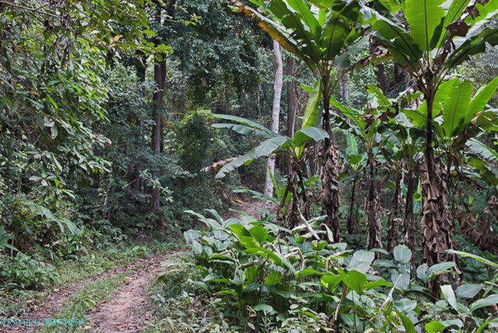 Dirt Road do Doi Suthep