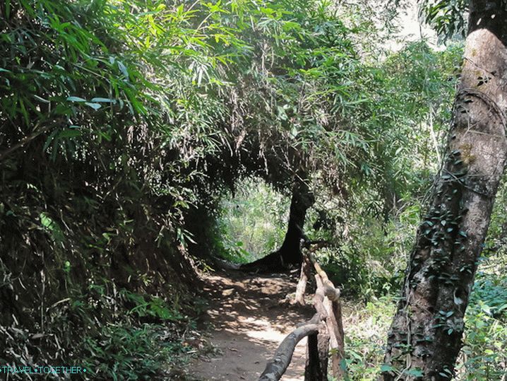 Doi Suthep park poti