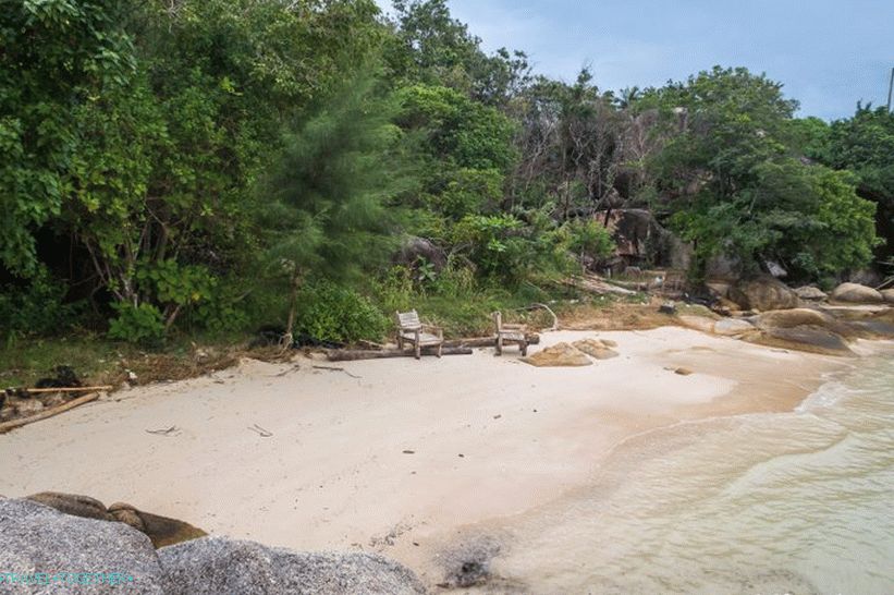Obala za plažo je obdana z zelenjavo različnih velikosti.