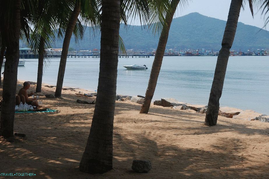 Palm Grove v Bang Sarayu