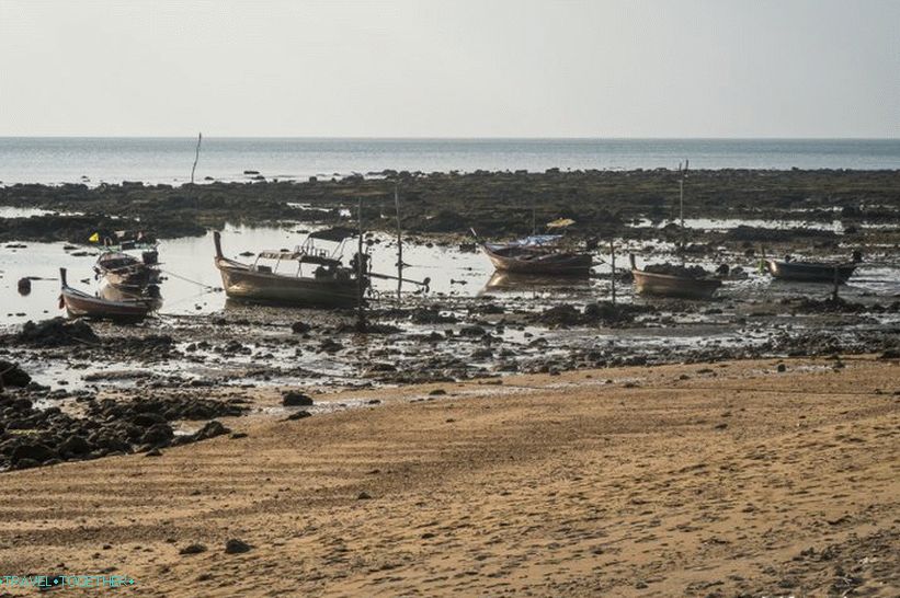 Levi del plaže Bali na Lanti