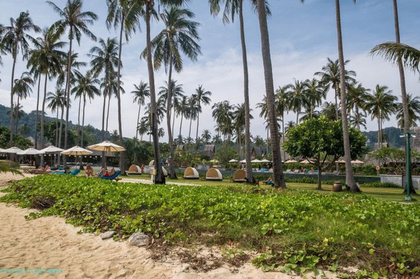 Plaža Lo Ba Kao je najboljša izbira za dolge počitnice na otoku Phi Phi Don