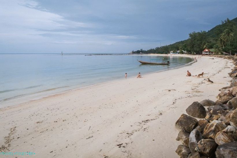 Prišel je sredi plaže, to je pogled na desno, v smeri reke