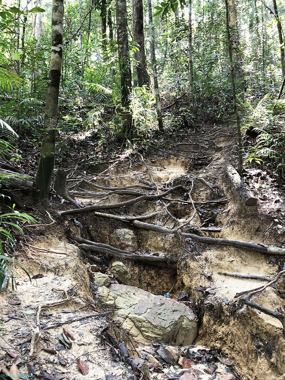 Kam gremo na počitek novembra 2018? - Phuket, Tajska