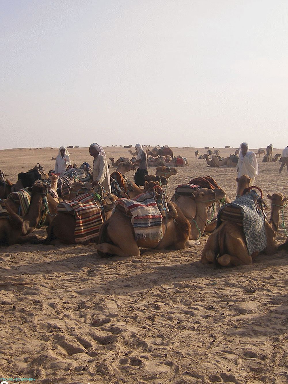 Tunizijski Camel Tour