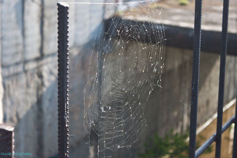 Novi prebivalci vasi Gidrostroya