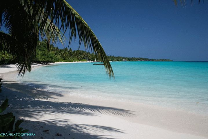 Beli pesek. Maldivi.
