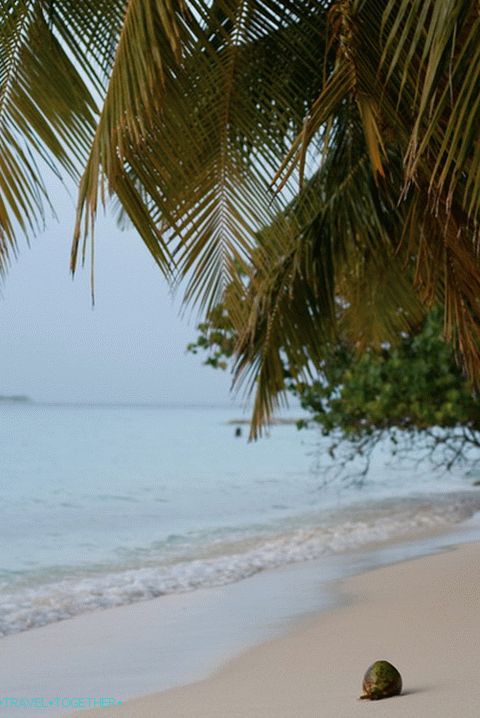 Plaža. Maldivi.