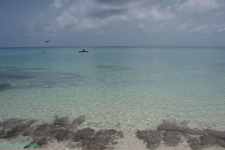 Morje. Maldivi.