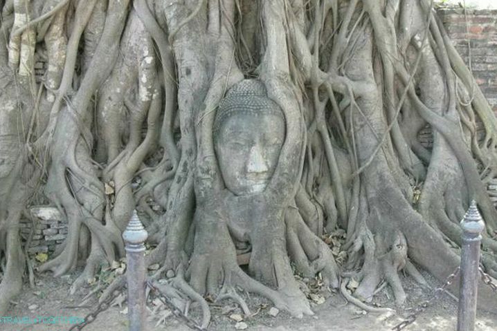 Bangkok, Buddha Head