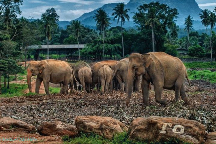 Phu Quoc Safari Park