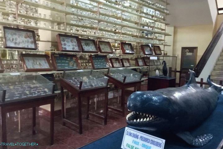 Nha Trang, muzej oceanografije