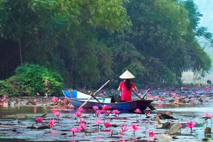 Počivaj z otrokom, jezero Lotus