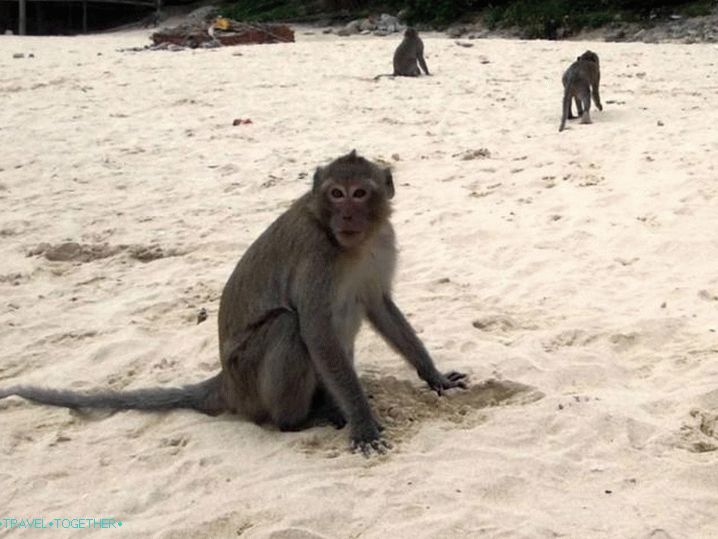 Vietnam Nha Trang Monkey Island