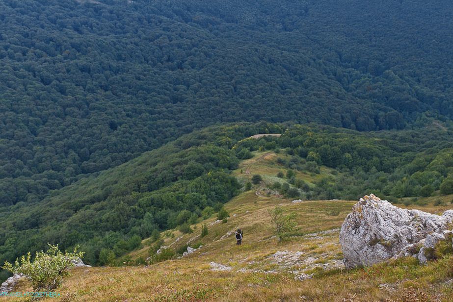 Od tod smo prišli