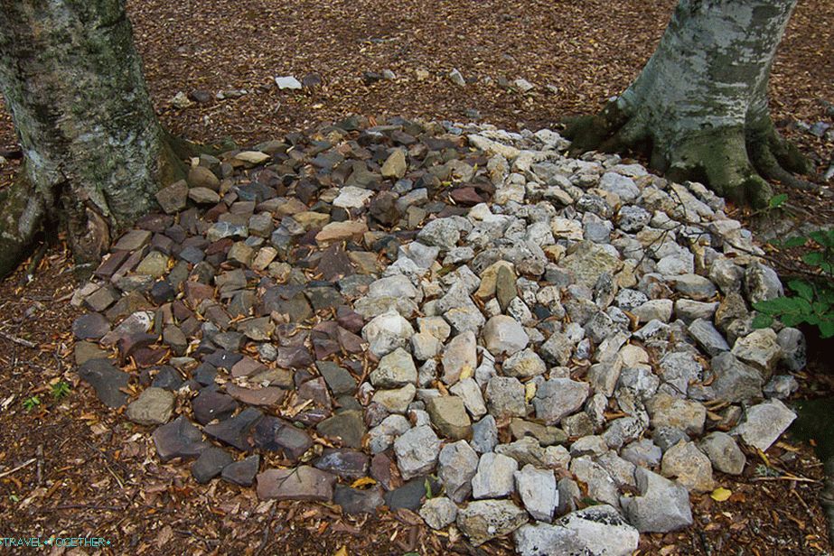 In tudi postavil krog Yin in Yang