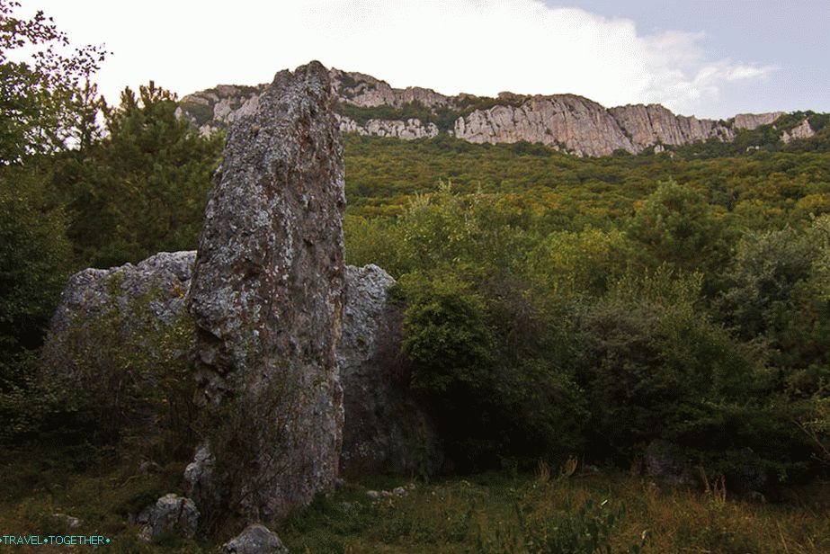 Zelo čuden kamen, kot kamen Sail in Praskoveevka