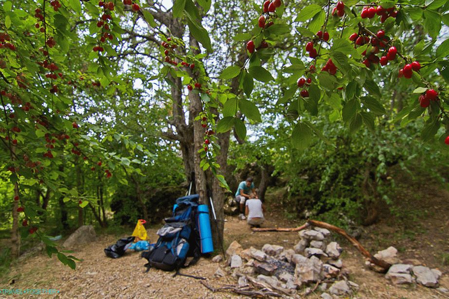 Parkirišče v bližini izvira Nefan-Uzen je vse v koraljnih goščavah