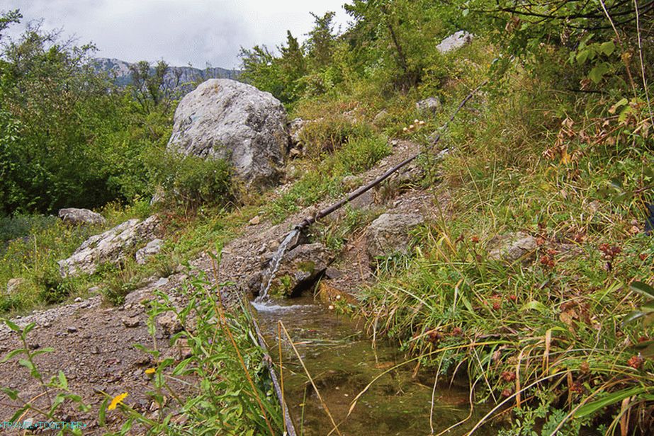 Zajtrkujmo in se skrijemo pod deževno peno