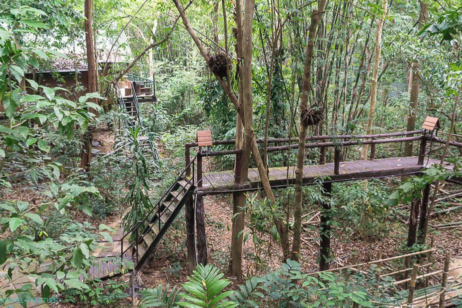 Nočitev v narodnem parku na drevesni hiši - Treehouse Resort