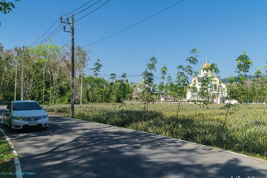 Moj avto Honda City in pravoslavna cerkev v ozadju palmovih dreves