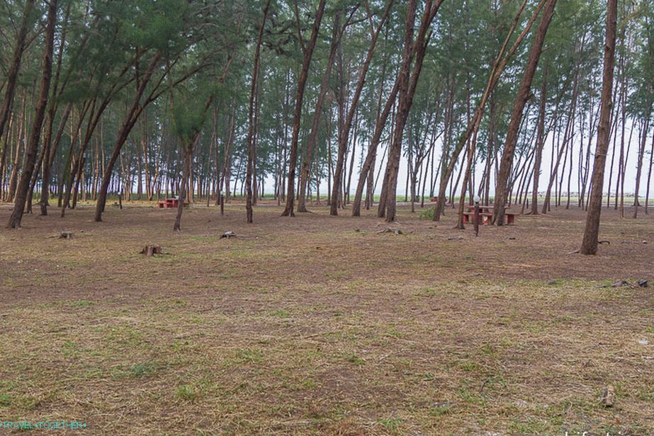 Obalni park