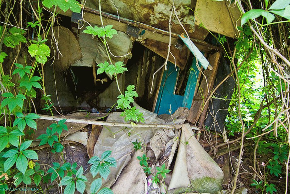 Izkazalo se je, da je nekakšna zaraščena in uničena struktura dacha