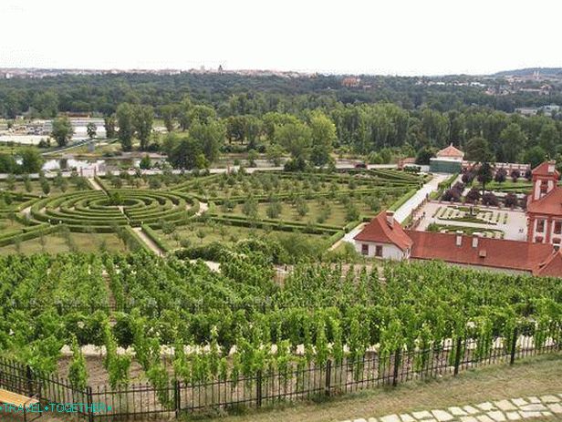 Vinogradi gradu Troy