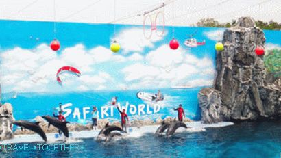 Zabava v Jomtienu - Dolphin World Pattaya