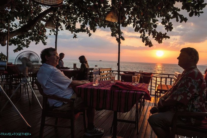 Restavracija za ptice in čebele, zelje in kondome