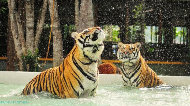 Park tigri na Phuketu
