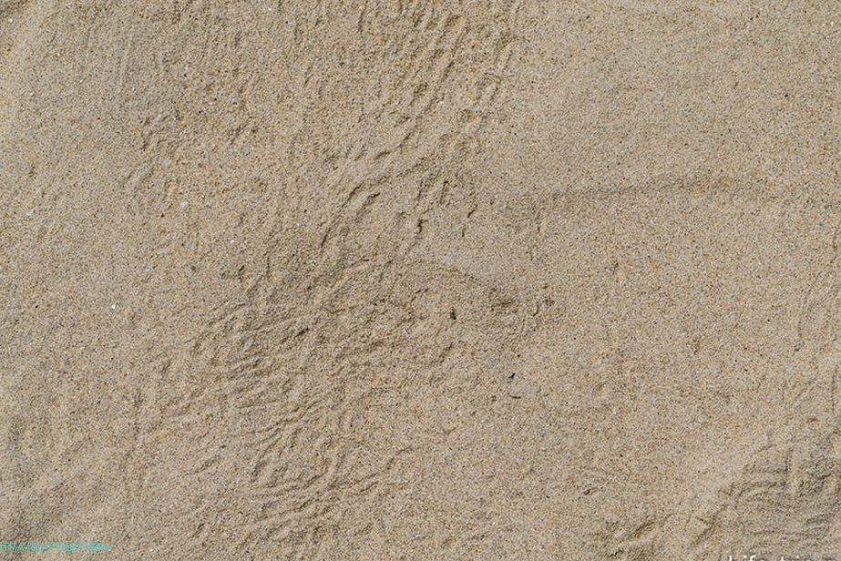 peščena plaža-02