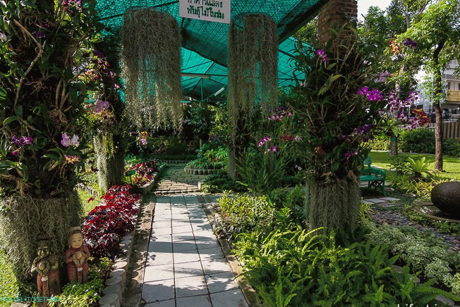 Majhen arboretum