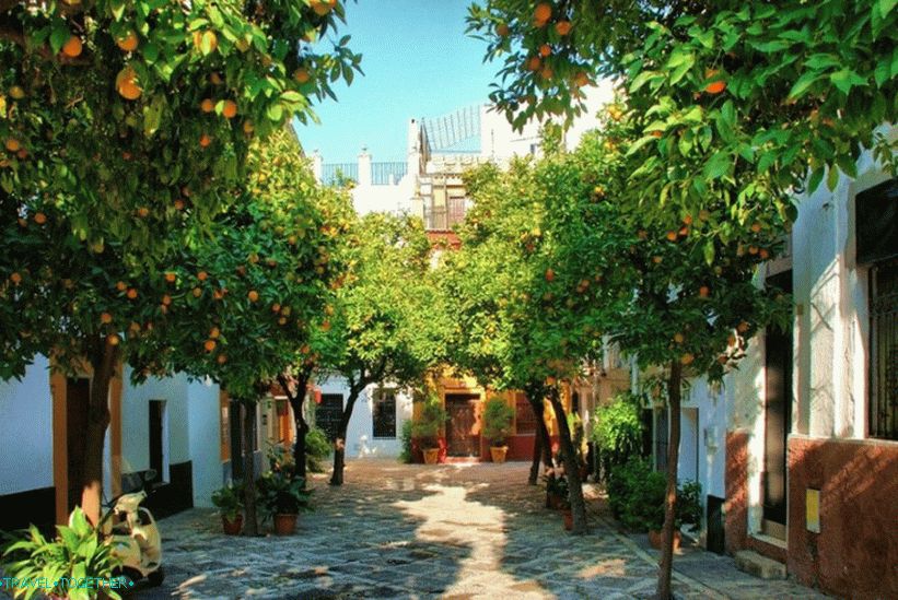 Barrio Santa Cruz